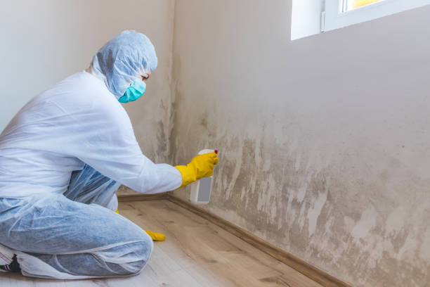 Mold Removal and Inspection in North Enid, OK