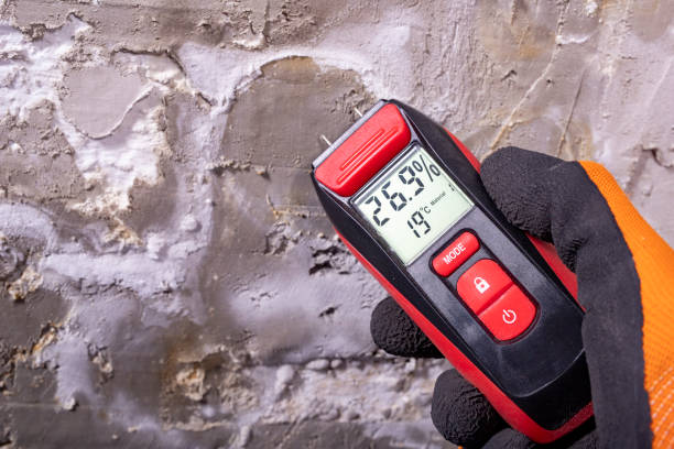 Best Professional Mold Removal  in North Enid, OK