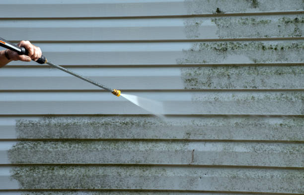 Best Residential Mold Removal  in North Enid, OK
