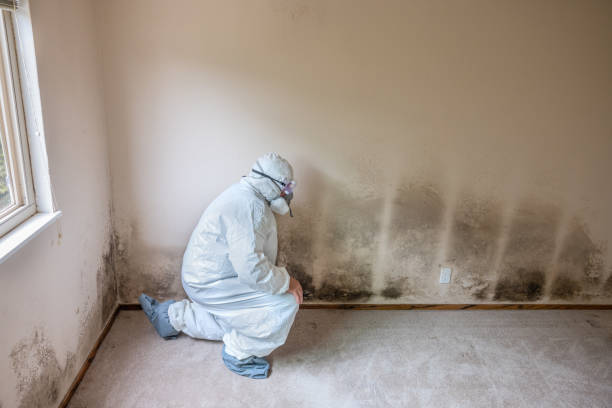 Best Mold Testing  in North Enid, OK