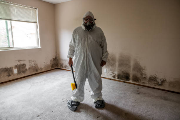 Best Mold Removal and Inspection  in North Enid, OK