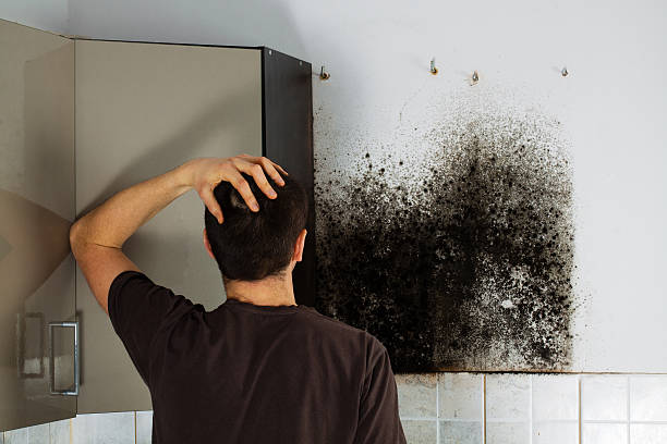 Best Crawl Space Mold Removal  in North Enid, OK