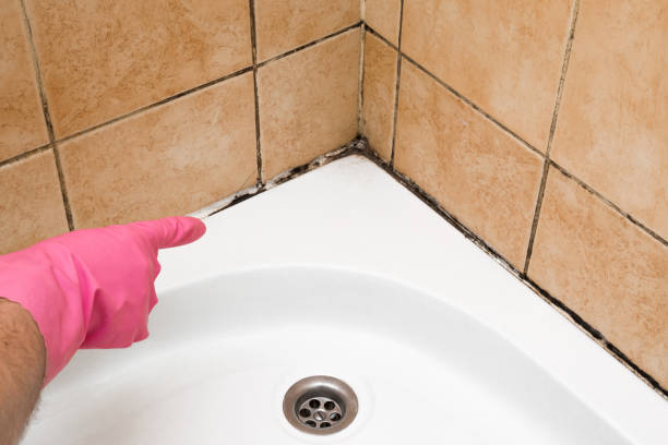 Best Mold Cleaning Services  in North Enid, OK